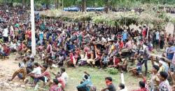 adivasis movement